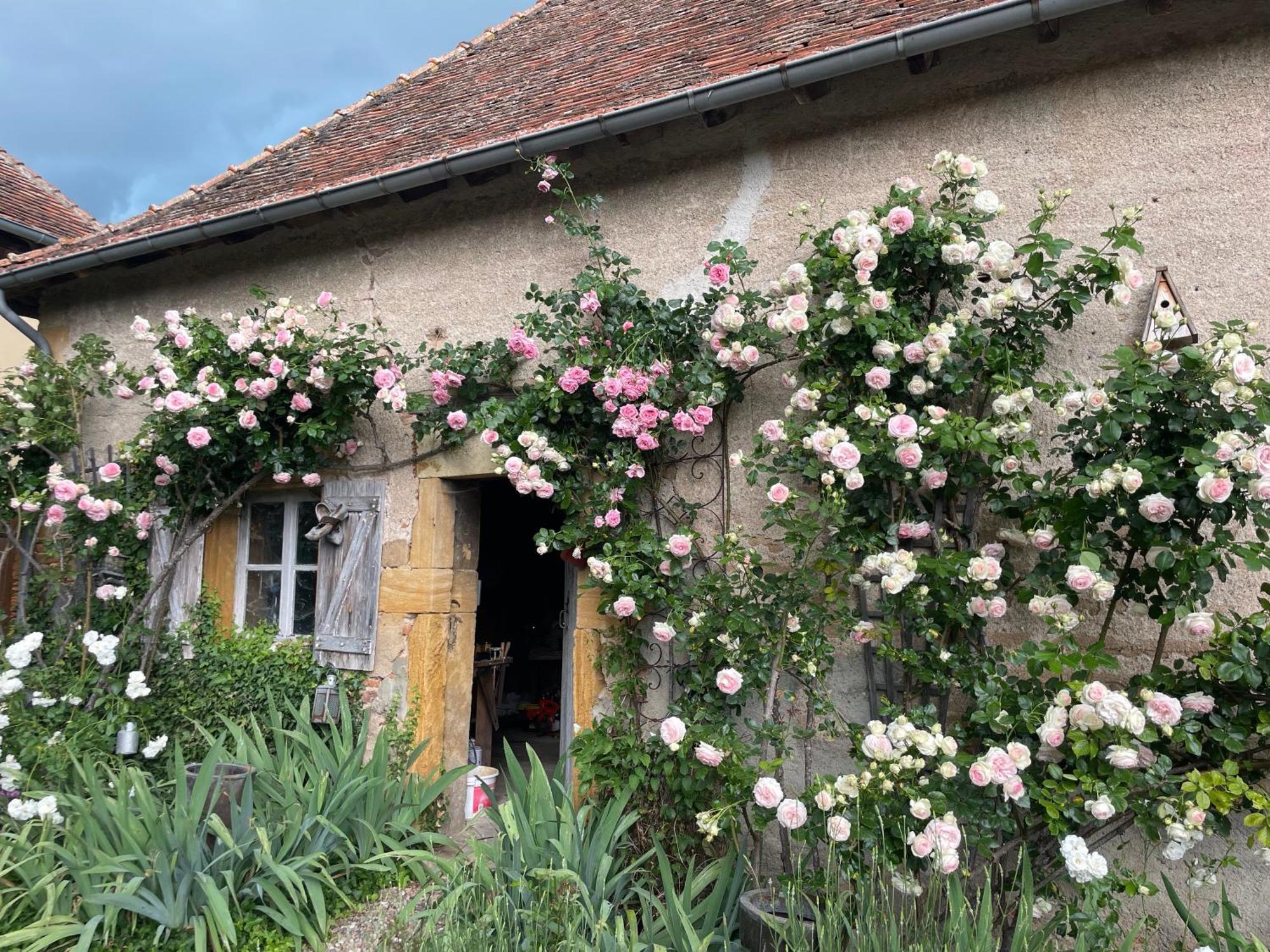 Les Jardins Des Soussilanges Bed & Breakfast Céron Exterior photo